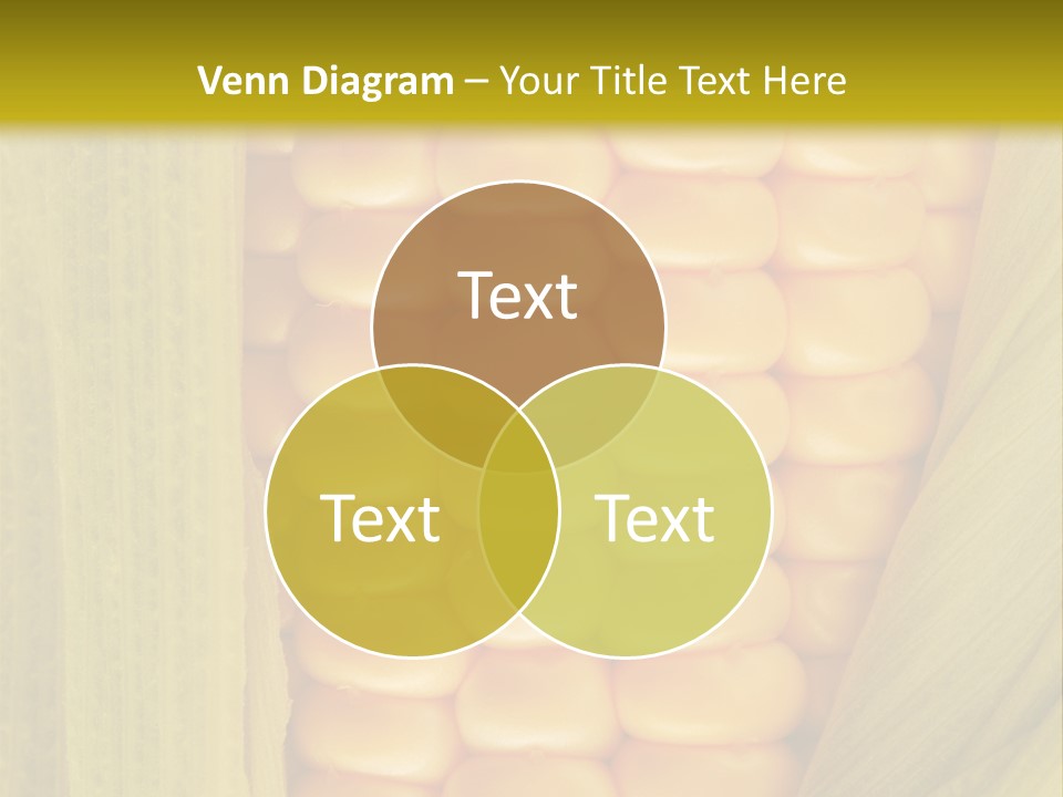 Colour Background Raw PowerPoint Template