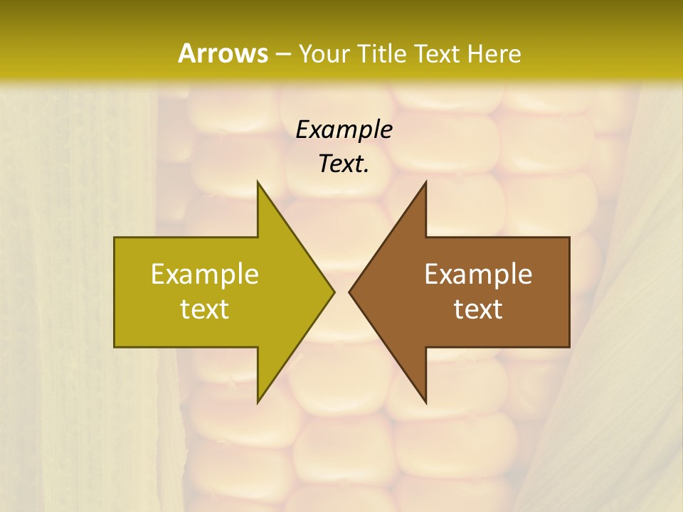 Colour Background Raw PowerPoint Template