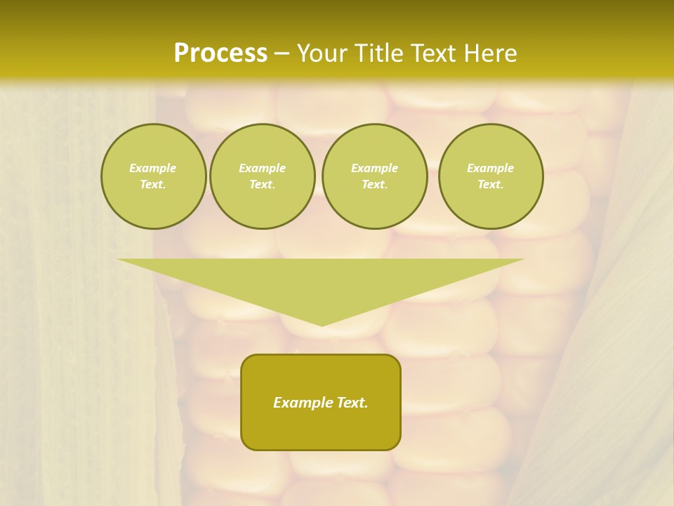 Colour Background Raw PowerPoint Template