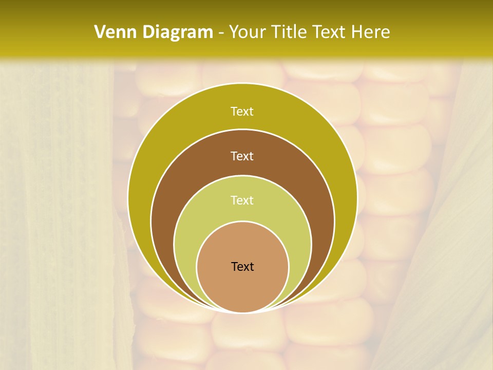 Colour Background Raw PowerPoint Template
