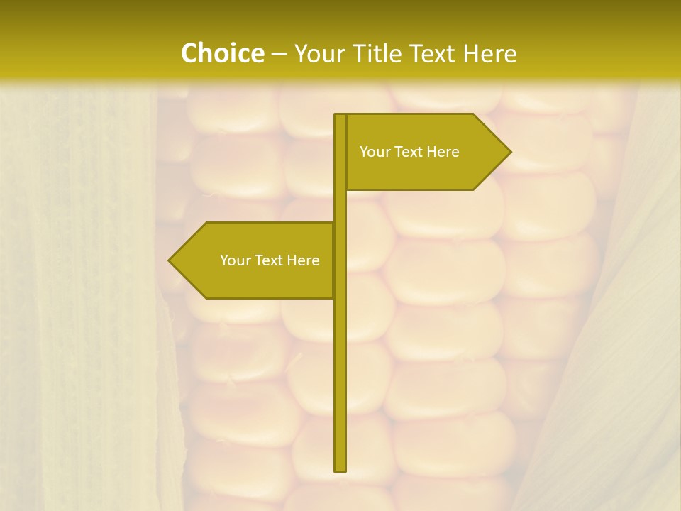 Colour Background Raw PowerPoint Template