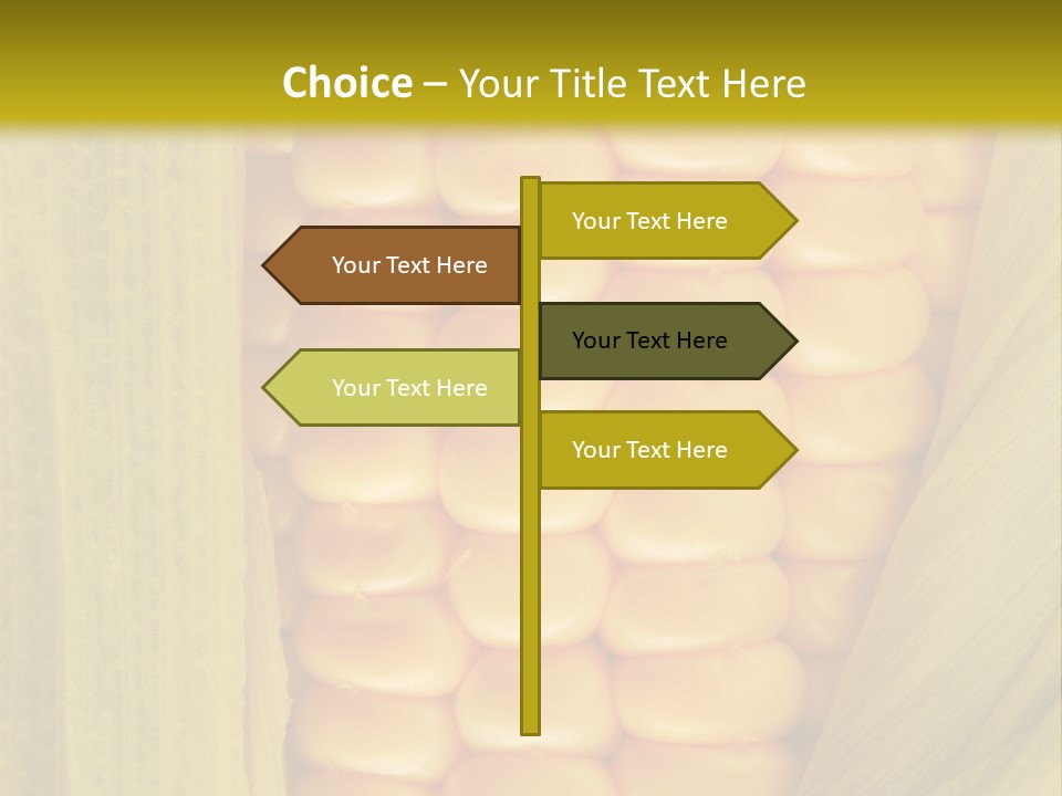 Colour Background Raw PowerPoint Template