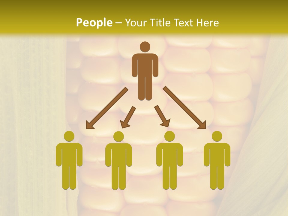 Colour Background Raw PowerPoint Template