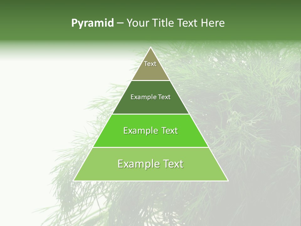 Freshness Health Care Organic PowerPoint Template