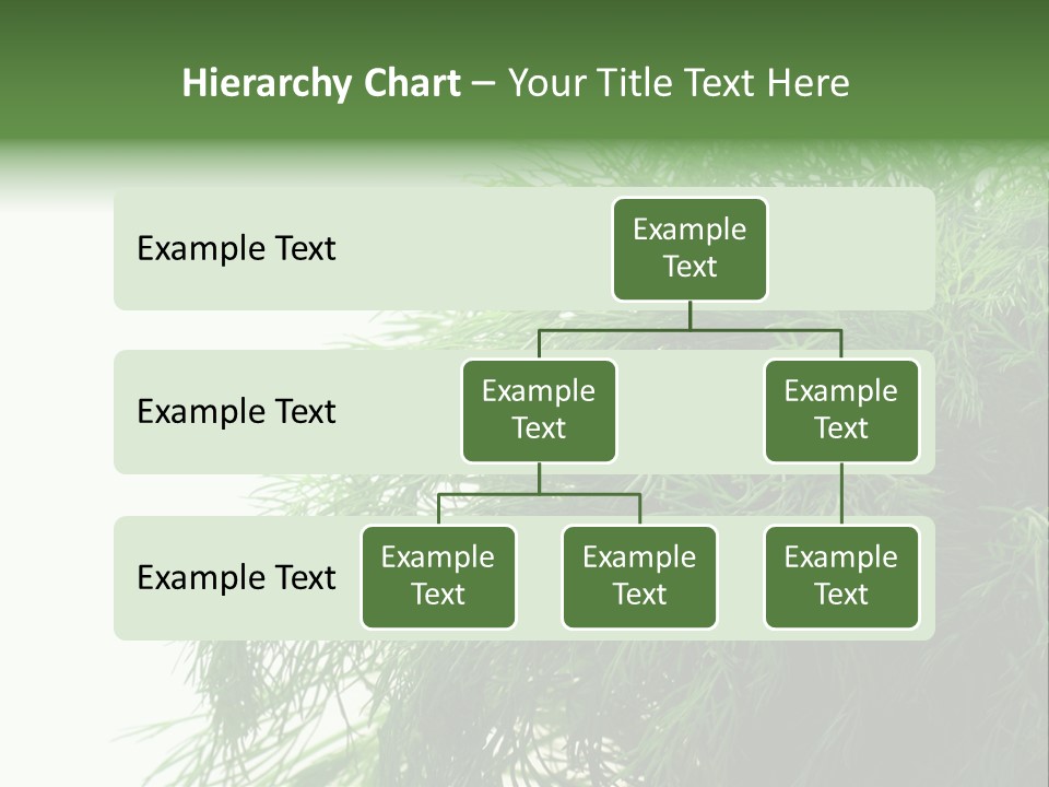 Freshness Health Care Organic PowerPoint Template