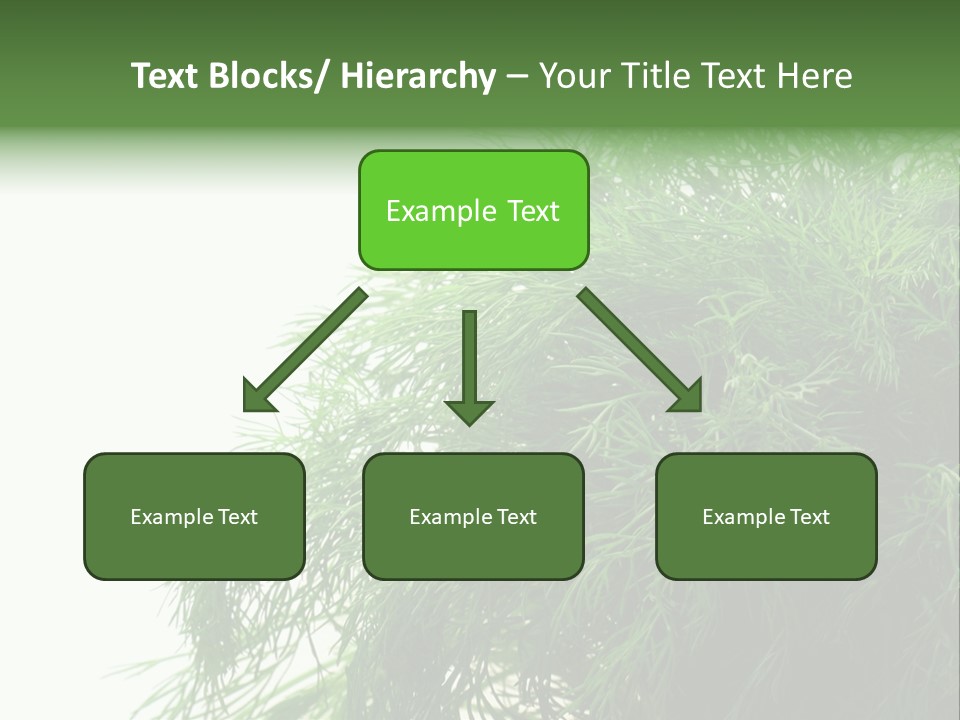 Freshness Health Care Organic PowerPoint Template