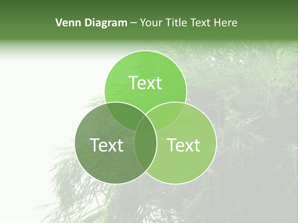 Freshness Health Care Organic PowerPoint Template