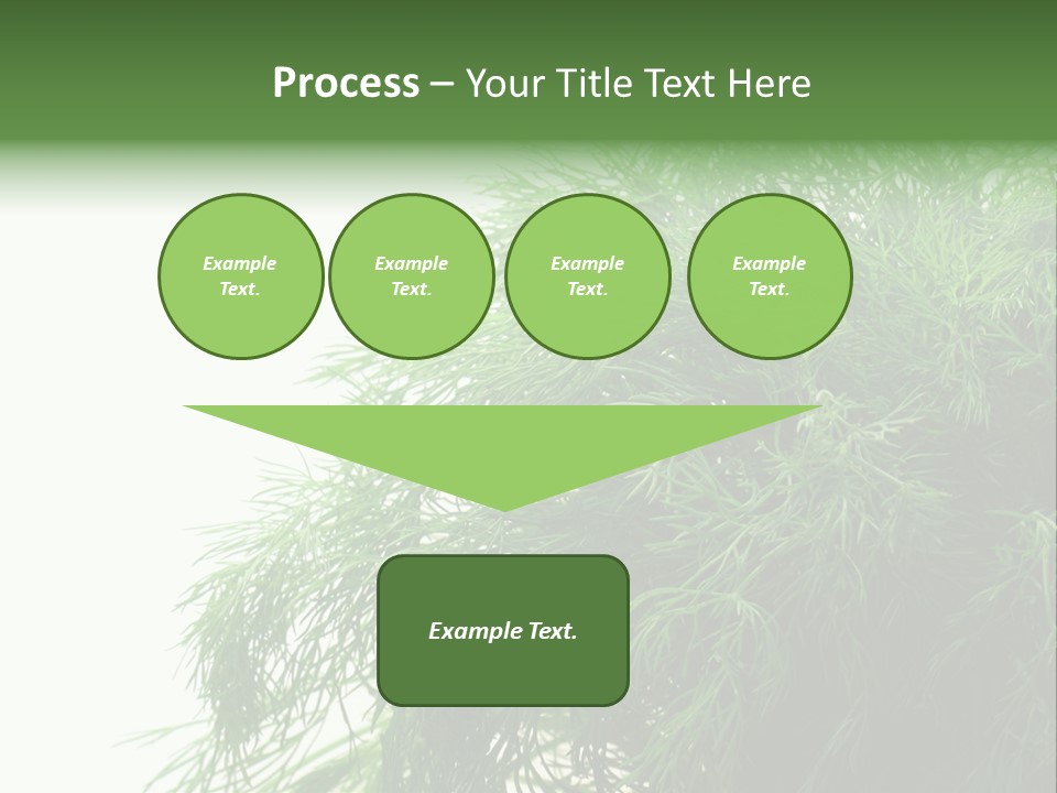 Freshness Health Care Organic PowerPoint Template