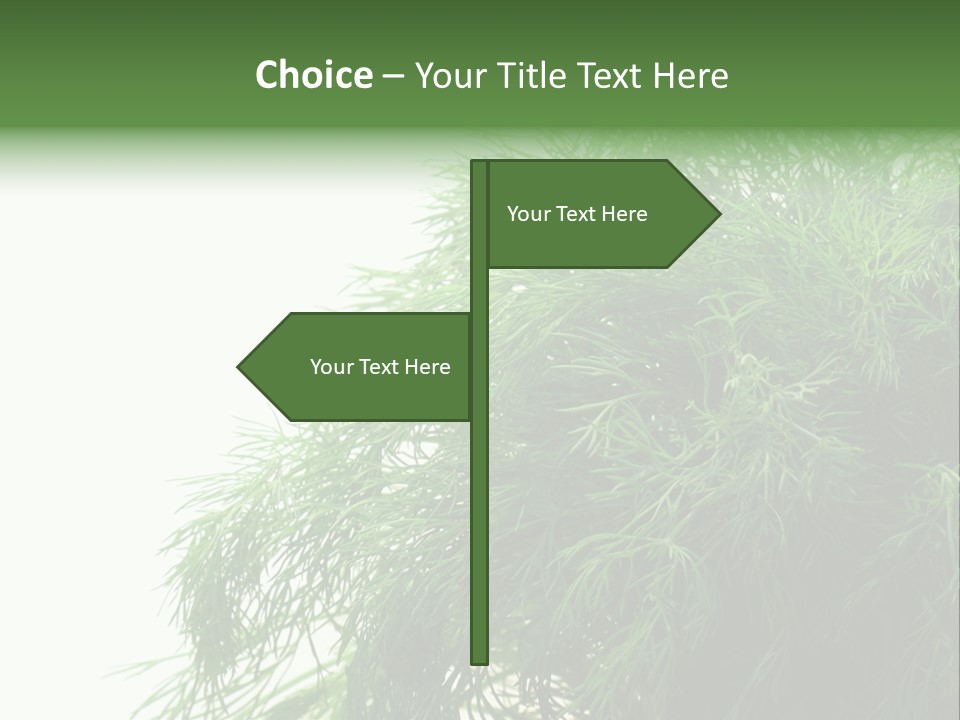 Freshness Health Care Organic PowerPoint Template