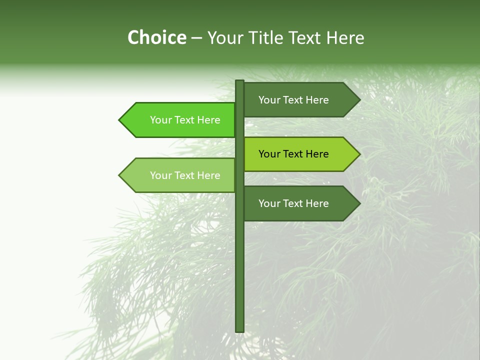 Freshness Health Care Organic PowerPoint Template