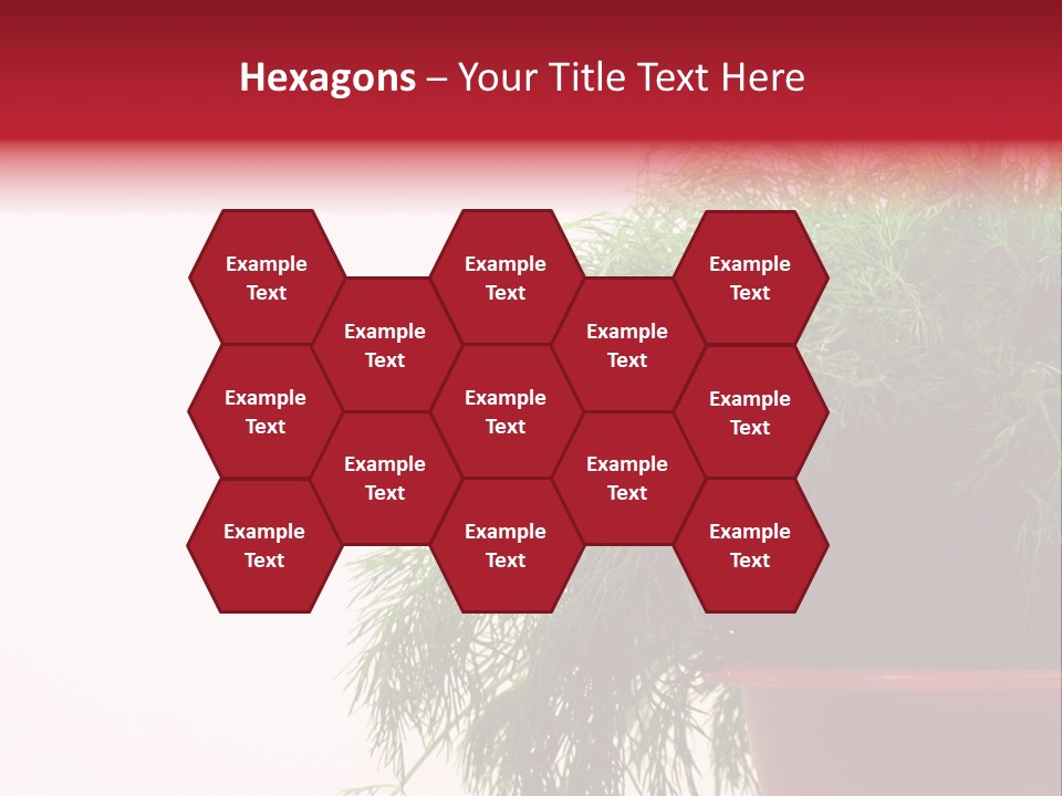 Health Care Eating Seasoning PowerPoint Template