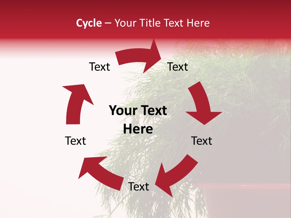 Health Care Eating Seasoning PowerPoint Template