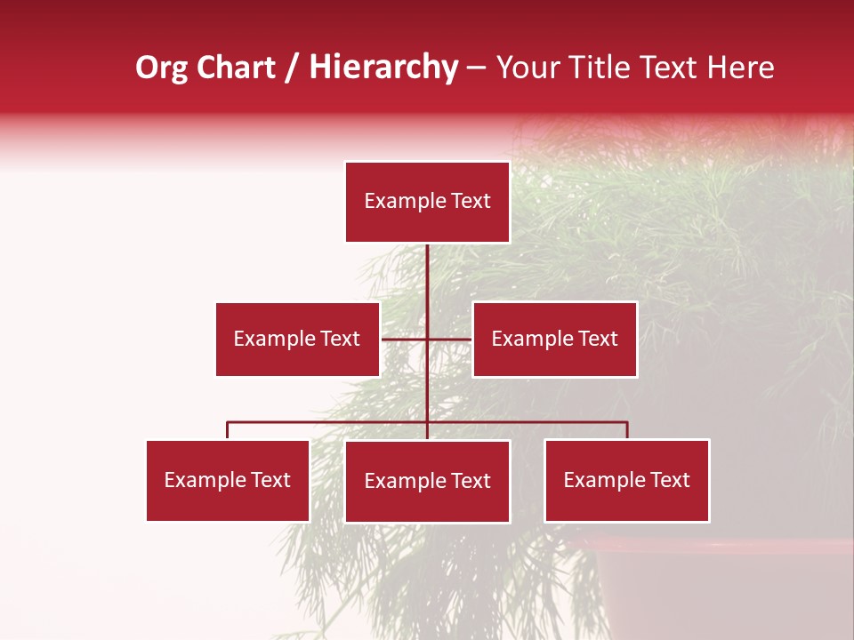 Health Care Eating Seasoning PowerPoint Template