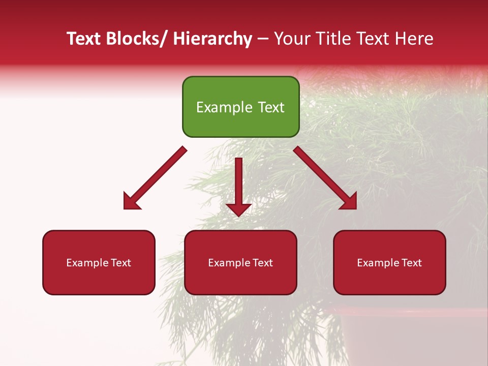 Health Care Eating Seasoning PowerPoint Template