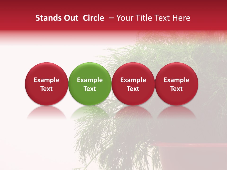 Health Care Eating Seasoning PowerPoint Template