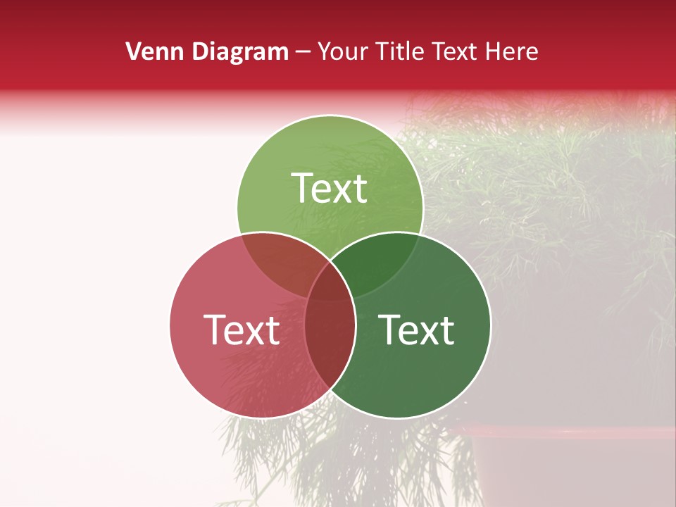 Health Care Eating Seasoning PowerPoint Template