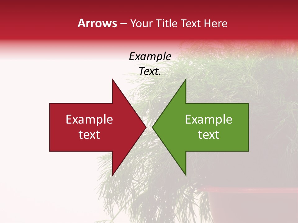 Health Care Eating Seasoning PowerPoint Template