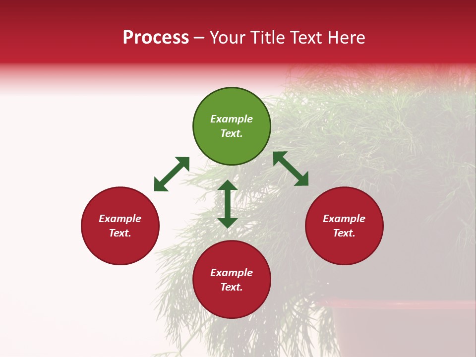 Health Care Eating Seasoning PowerPoint Template