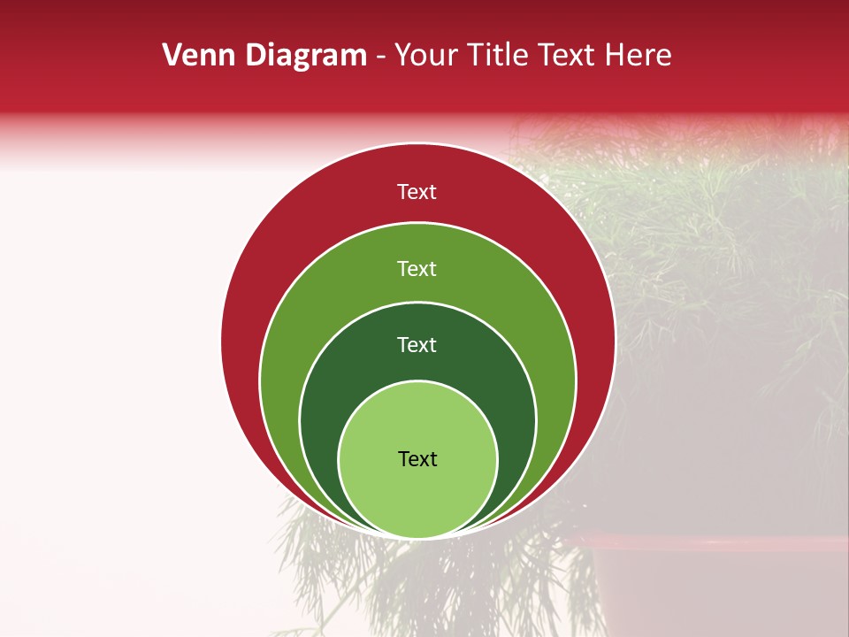 Health Care Eating Seasoning PowerPoint Template