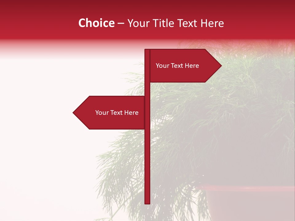 Health Care Eating Seasoning PowerPoint Template