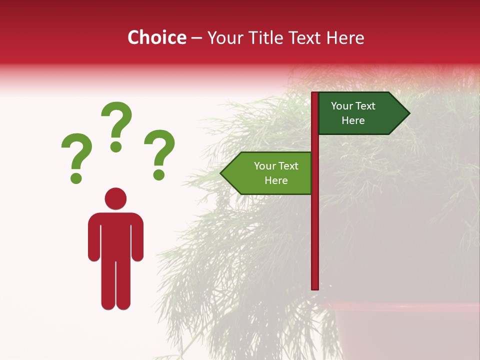 Health Care Eating Seasoning PowerPoint Template