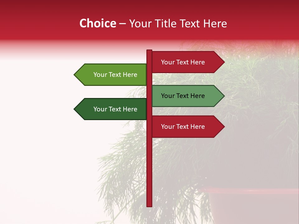 Health Care Eating Seasoning PowerPoint Template