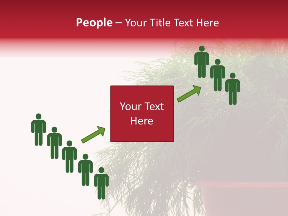 Health Care Eating Seasoning PowerPoint Template