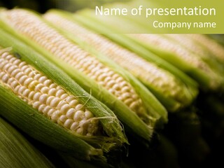 Grow Farmer Produce PowerPoint Template