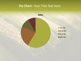 Grow Farmer Produce PowerPoint Template