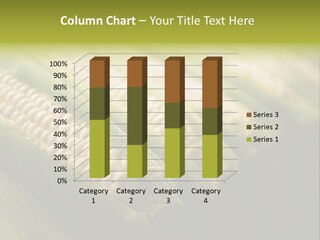 Grow Farmer Produce PowerPoint Template