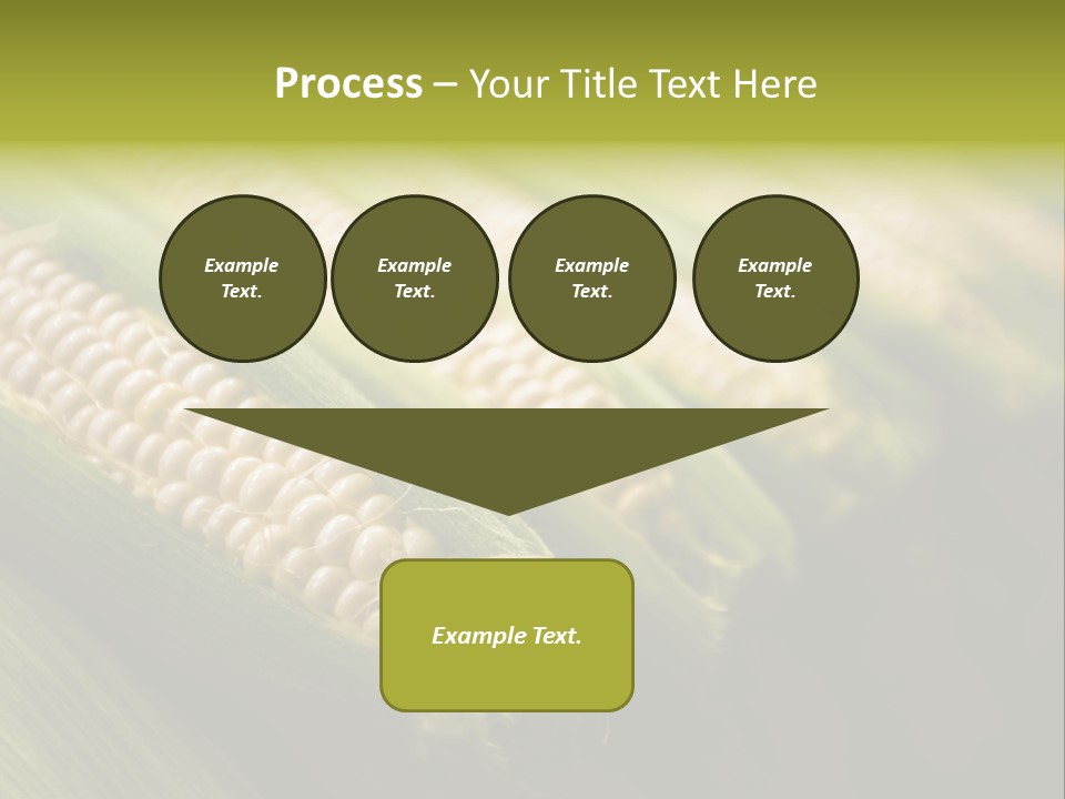 Grow Farmer Produce PowerPoint Template