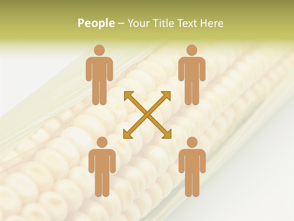 Fruit Food Corn PowerPoint Template