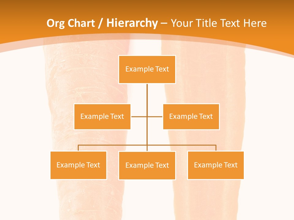Half Salad Healthy PowerPoint Template