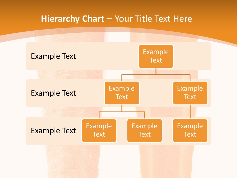 Half Salad Healthy PowerPoint Template