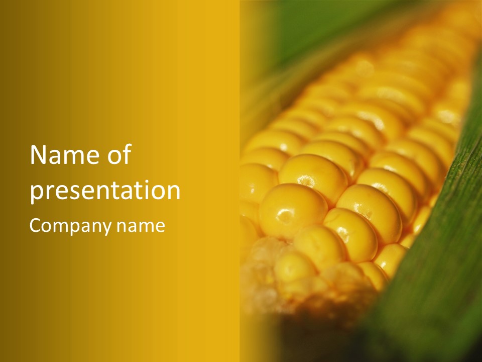 Closeup Vegetable Corn PowerPoint Template