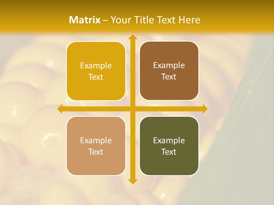 Closeup Vegetable Corn PowerPoint Template