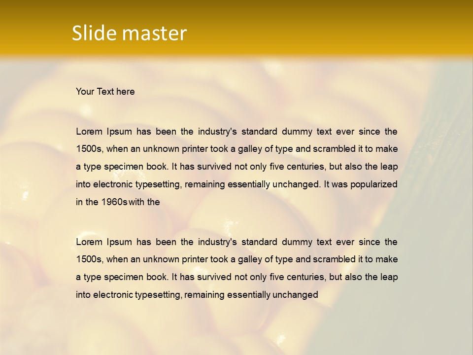 Closeup Vegetable Corn PowerPoint Template