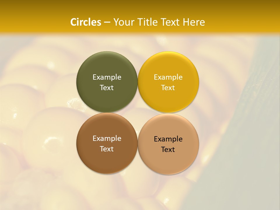 Closeup Vegetable Corn PowerPoint Template