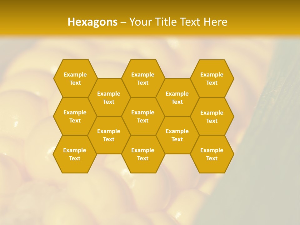 Closeup Vegetable Corn PowerPoint Template