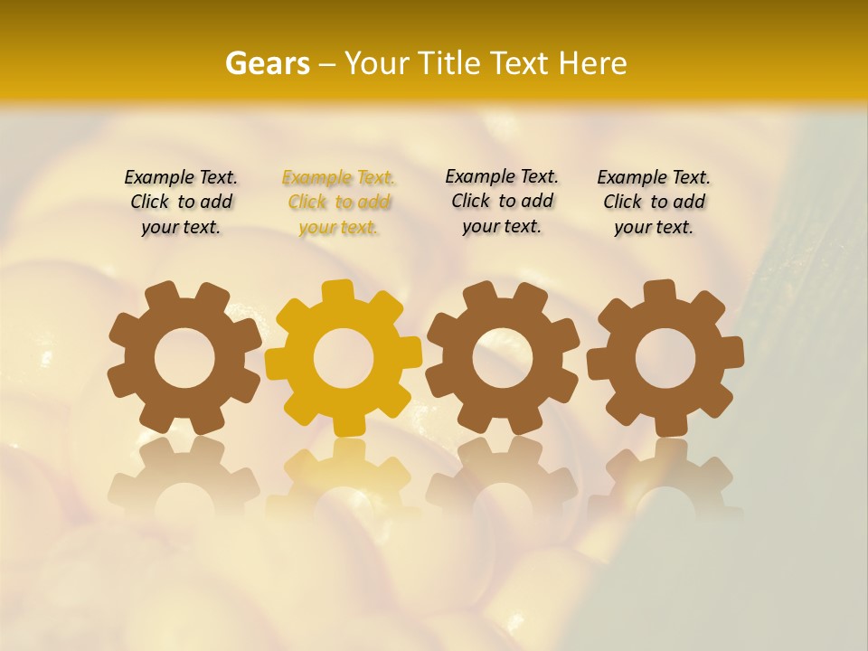 Closeup Vegetable Corn PowerPoint Template