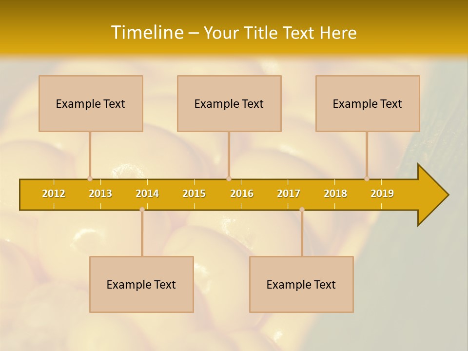Closeup Vegetable Corn PowerPoint Template