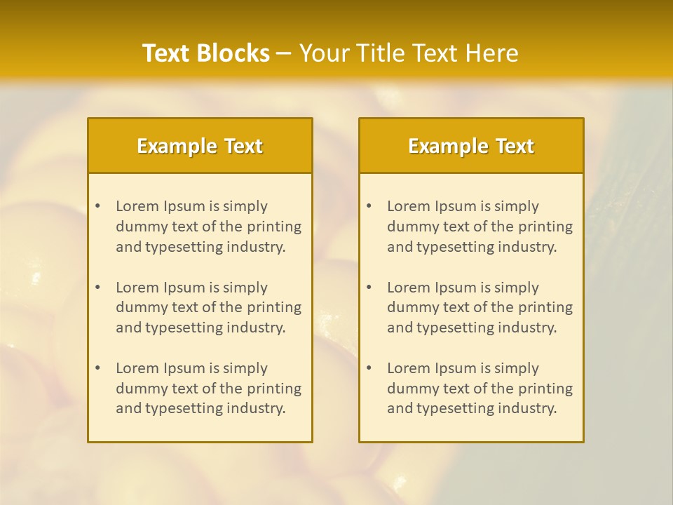 Closeup Vegetable Corn PowerPoint Template