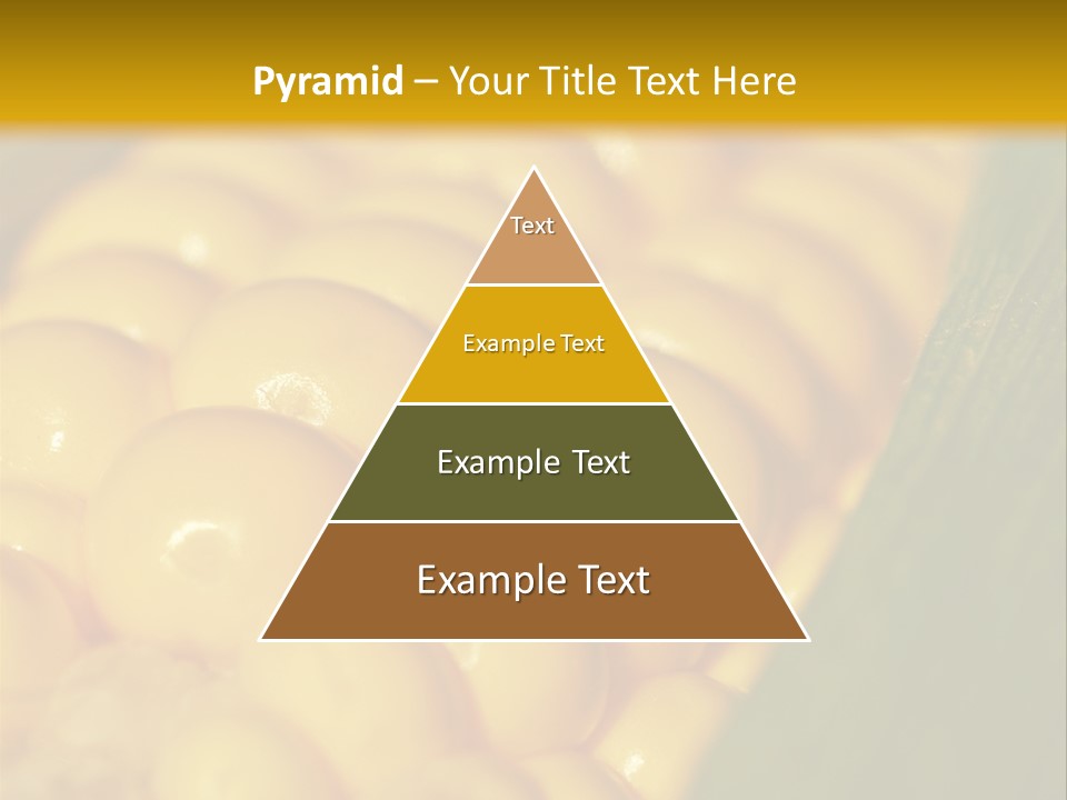 Closeup Vegetable Corn PowerPoint Template