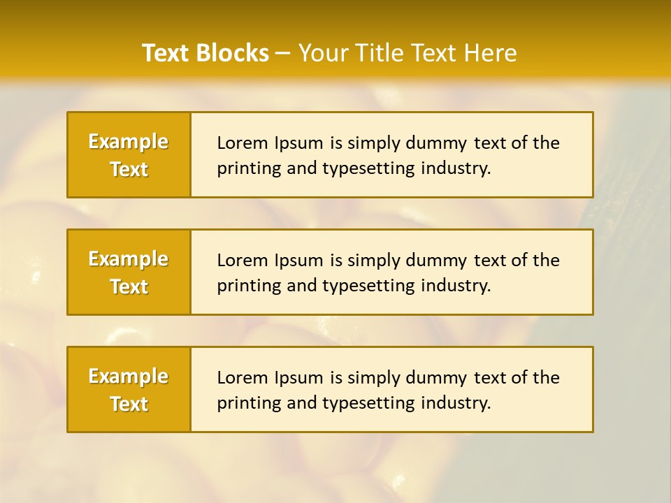 Closeup Vegetable Corn PowerPoint Template