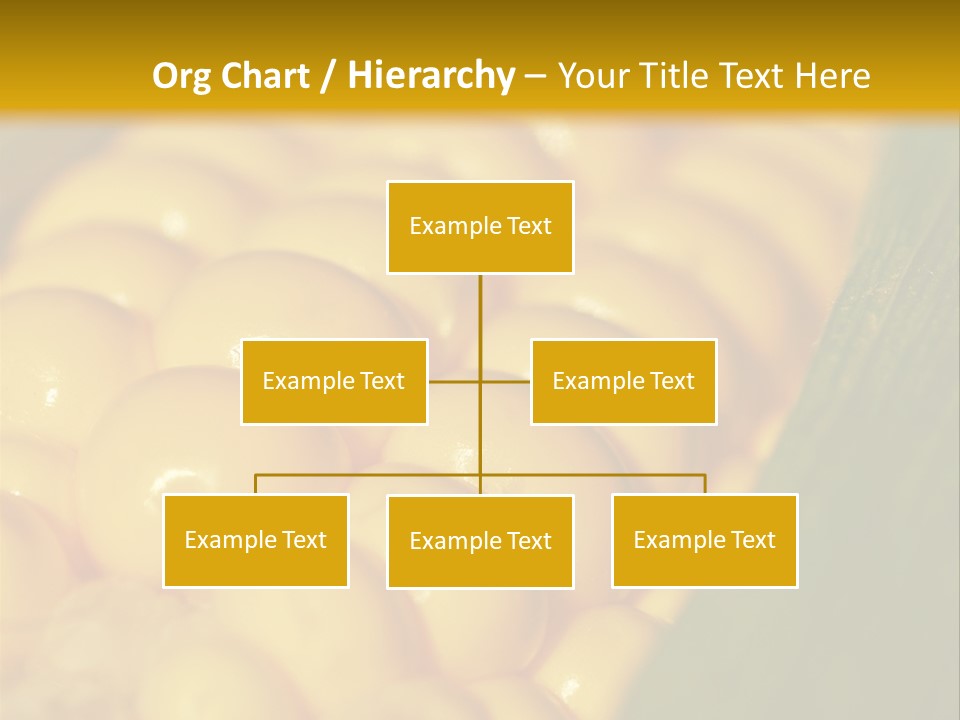 Closeup Vegetable Corn PowerPoint Template