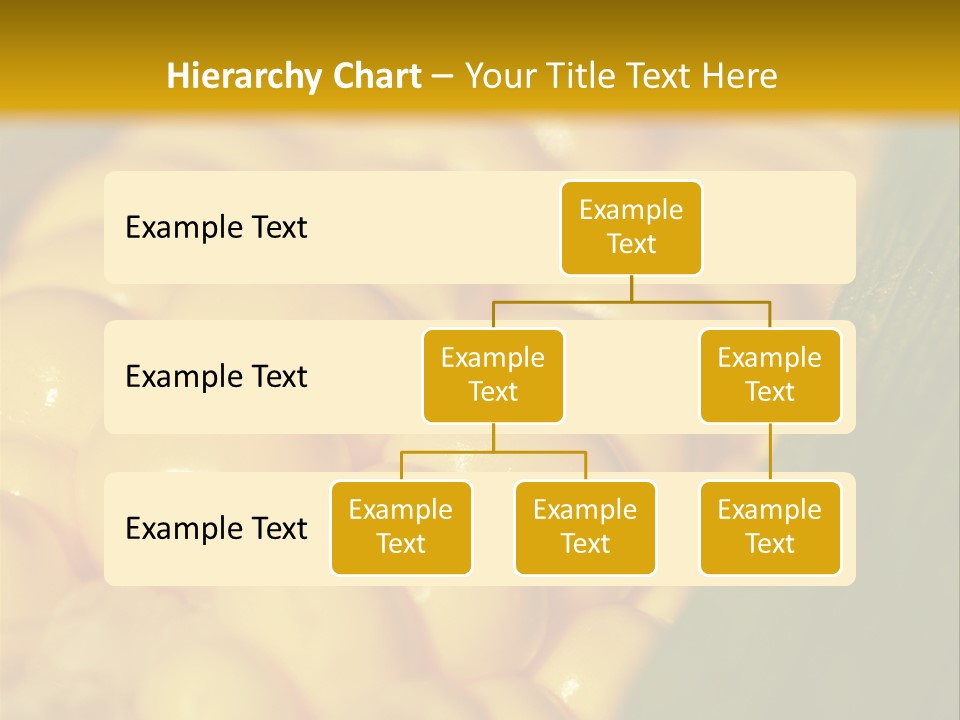 Closeup Vegetable Corn PowerPoint Template