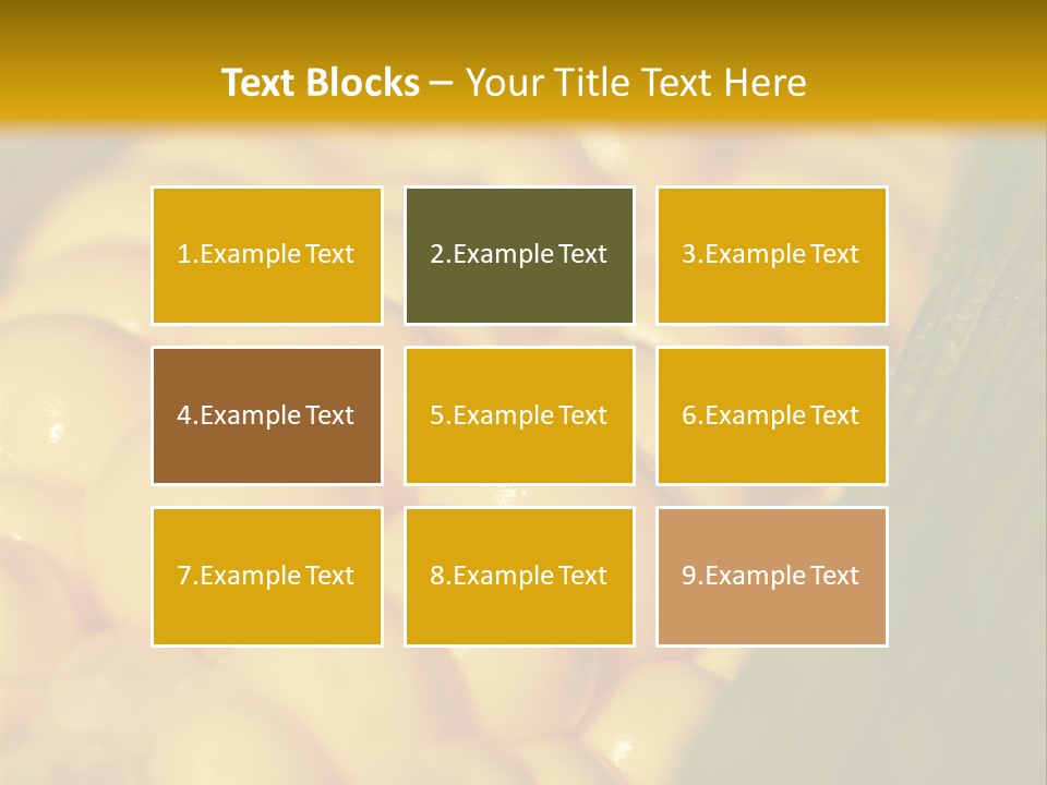 Closeup Vegetable Corn PowerPoint Template