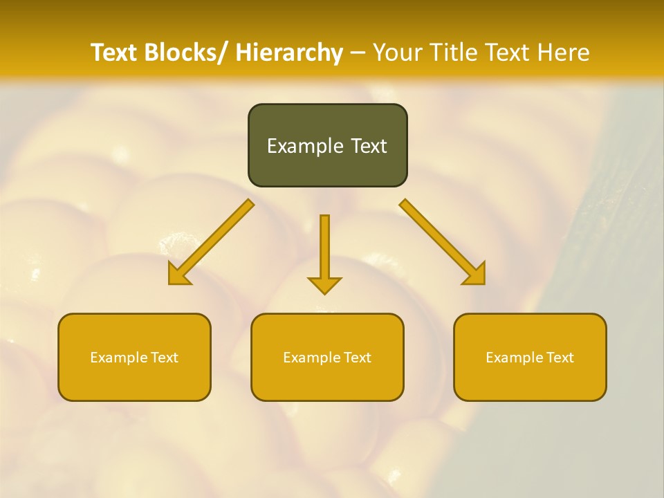 Closeup Vegetable Corn PowerPoint Template