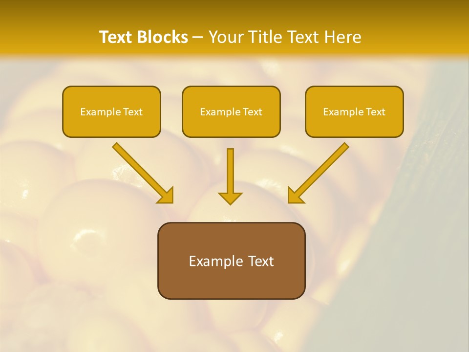 Closeup Vegetable Corn PowerPoint Template