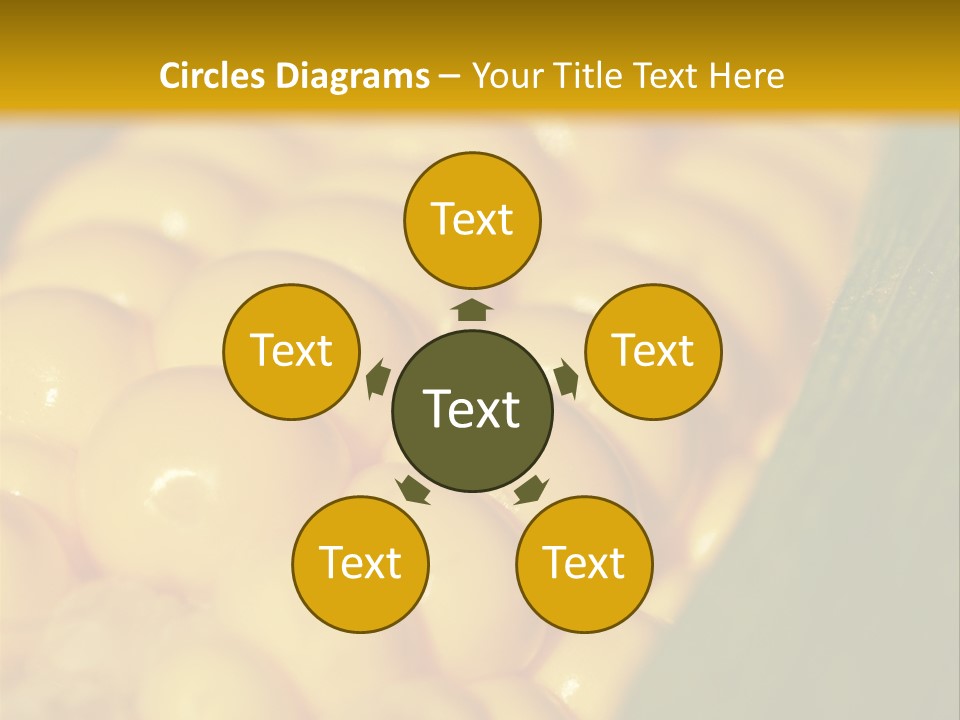 Closeup Vegetable Corn PowerPoint Template